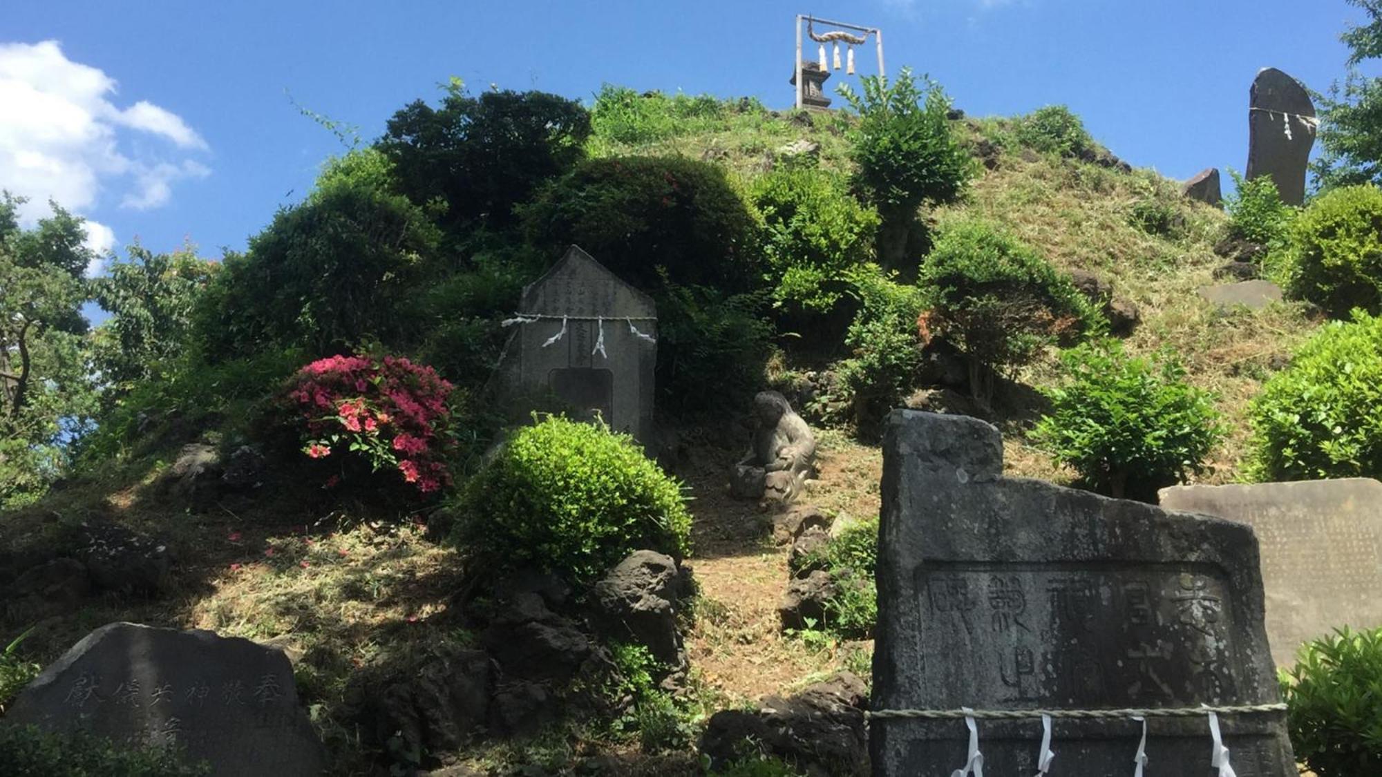 Toyoko Inn Shiki Eki Higashi Guchi Exteriör bild