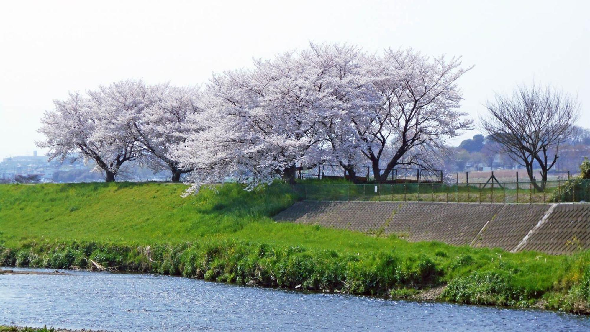 Toyoko Inn Shiki Eki Higashi Guchi Exteriör bild